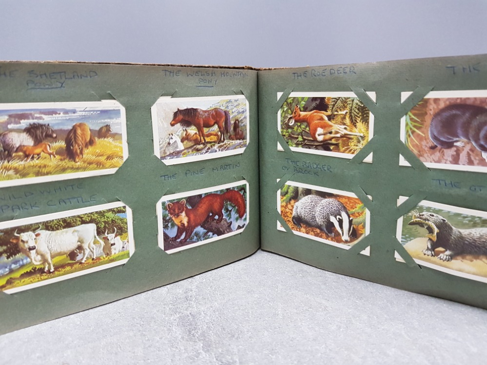 ALBUM CONTAINING WELL OVER 100 VINTAGE TEA COLLECTORS CARDS, DIFFERENT SETS INCLUDING BRITISH WILD - Bild 3 aus 4