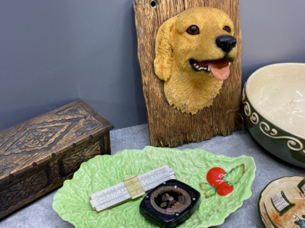 Mixed lot containing Royal Doulton and masons plates, Carlton ware and Labrador key rack by the - Image 3 of 3