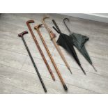 Selection of walking sticks and umbrellas