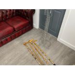 4 walking sticks with badges and CD rack in shape of guitar