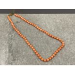 Coral beads single row of 67 uniformed necklace with gold plated clasp