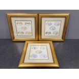 Teacups patterns x3 decorative framed prints