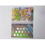 Teenage Mutant hero turtles offical medal collection, complete in original display