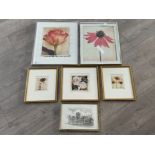 6 framed prints