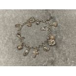 Silver charms bracelet with 13 charms 18.8g