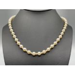 Ladies string of cultured pearls set with smaller pearls dividing larger ones complete with silver