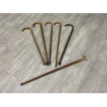 6 various walking sticks
