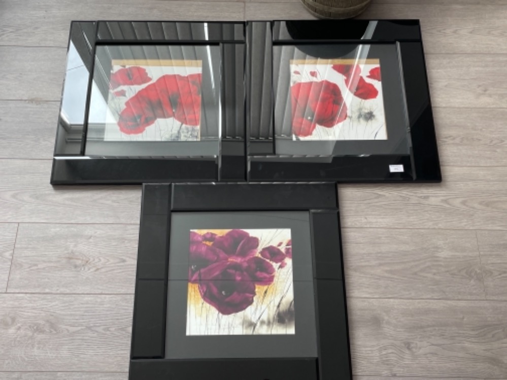 3 x framed flower pictures