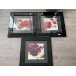 3 x framed flower pictures