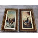 2 oil on board paintings of stags framed 52cm x 90cms