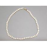 Single row cultured pearl necklace