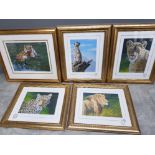 5 limited edition animal prints all signed by the artist Stephen Grayford, all in matching gilt