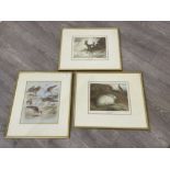 3 x vintage framed animal prints