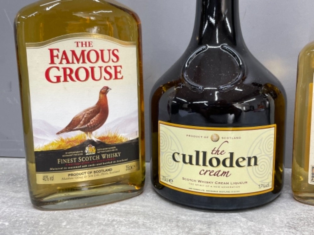 Alcohol x4 including The Famous grouse, Brandy and cream liqueur - Bild 3 aus 3