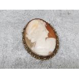 Shell cameo brooch with goldplated frame,