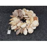 Gisela Graham shell Wreath