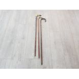 3 cane and wood walking sticks with silver and white metal collars and horn handles
