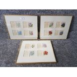 Framed silks depicting flowers. 3