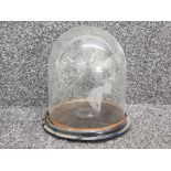 Victorian glass dome display with base