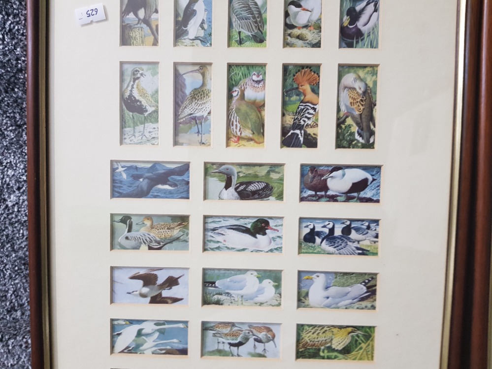 After C F Tunnicliffe "British Birds" Brooke Bond Tea Cards series 50, framed. - Image 2 of 3