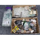 A tray of rocks, minerals, fossils and shells together with a tray of a large amount of different