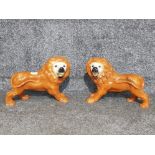 A pair of Staffordshire fire side lions with glass eyes 35cm long 27cm high (one damaged leg).
