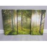 Modern contemporary 3 part canvas forest scene