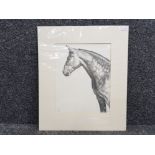 Limited edition print, horses head, artist unkown, signed with initials & dated 95, unframed