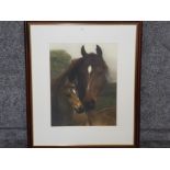 A colour print of a mare and foal 64 x 51cm.