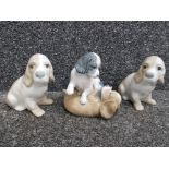 A Nao puppy group and two puppies by Valencia.