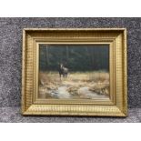 Arne Anderson (1933 - ) oil on canvas painting of a Caribou/Elk (35cm x 27cms)