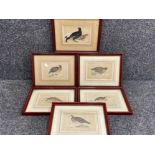 Set of 6 antique coloured etchings of game birds in later frames