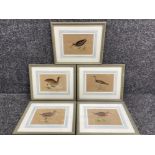 5 Antique coloured etchings of wading birds and game birds