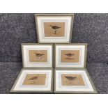 6 Antique coloured etchings of wading birds and game birds