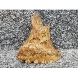 Mastodon tooth fossil, height 8.5cm x 9cm length (at base)