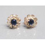 9ct yellow gold sapphire set stud earrings 1.39g gross