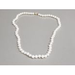 Freshwater pearl bead necklet