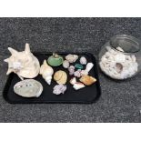 Selection of sea shells, mixed sizes also includes Wade dish