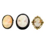 Six cameo brooches, to include a jet brooch with shell cameo detail and a cameo bracelet.