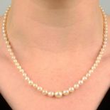 A pearl graduated single-strand necklace, with rose-cut diamond clasp.