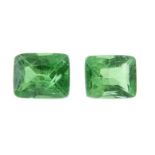 Eight rectangular shape tsavorite.