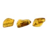 Eight irregular pieces of amber weighing 19gr.