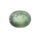 An oval shape green sapphire weighing 1.61ct measuring 7.85 by 5.9 by 3.95mm.