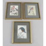 A set of eight Cash's of Coventry woven silk pictures of birds,