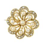 An early 20th century gold seed and split pearl foliate brooch.Length 2.7cms.