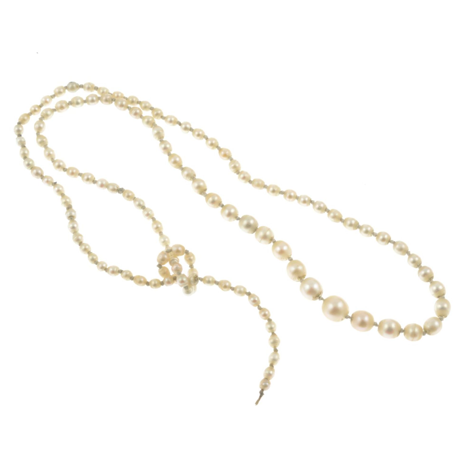 A strand of graduated natural saltwater pearls.Accompanied by report number 19260, - Image 2 of 3