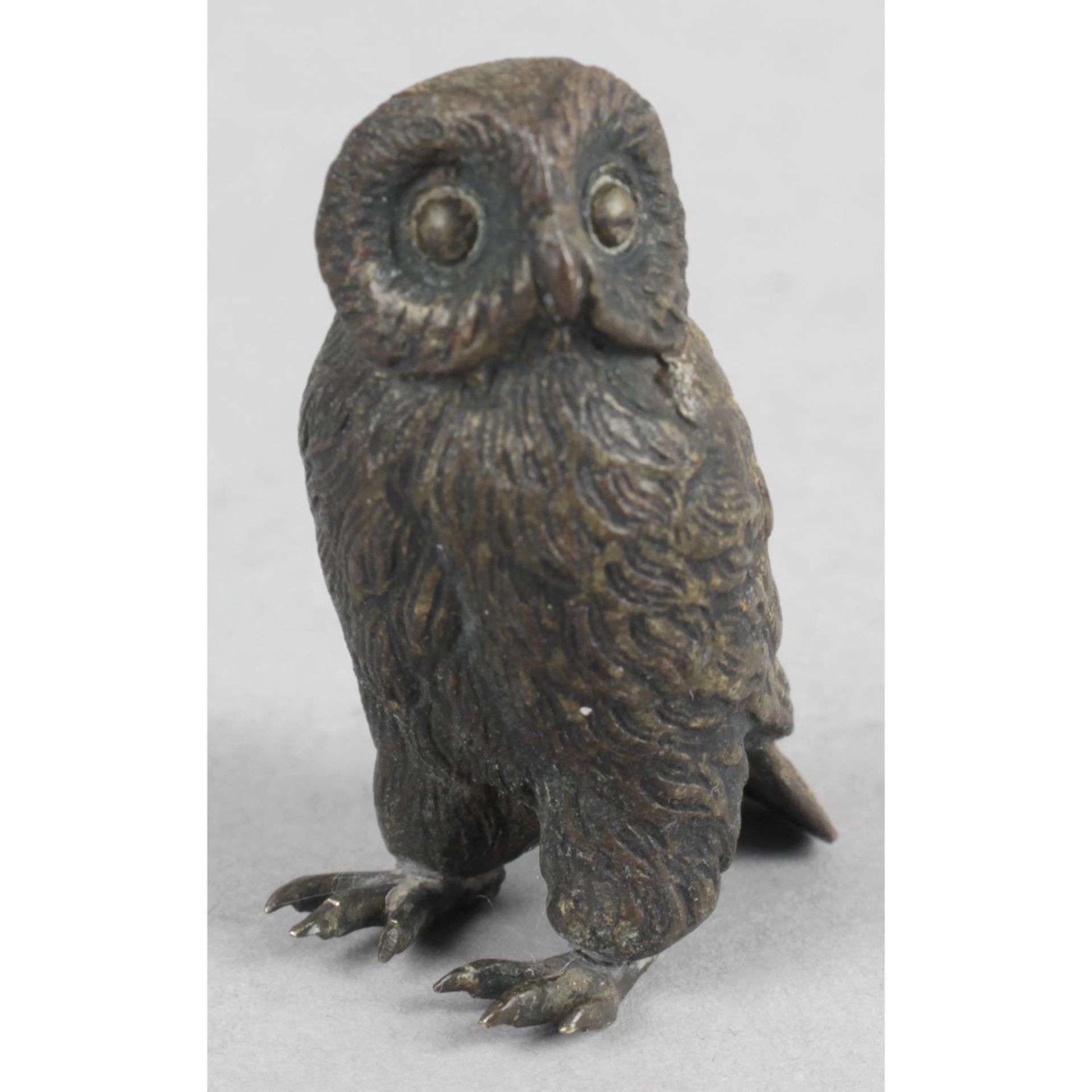 A small Austrian cold painted bronze, modelled as an owl.