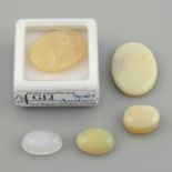 Five oval shape opal cabochons,