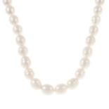 A cultured pearl necklace.Clasp stamped 925.