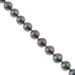 A black cultured freshwater pearl necklace.Clasp stamped 925.Length of necklace 48.2cms.